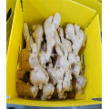 200g top selling air dried ginger